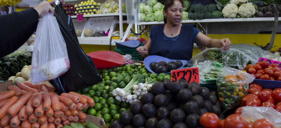 Canasta básica aguacate sube y acaricia los 50 pesos el kilo