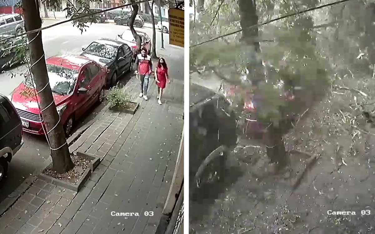 Pareja Se Salva De Ser Aplastada Por Un Rbol Cay Por Los Fuertes