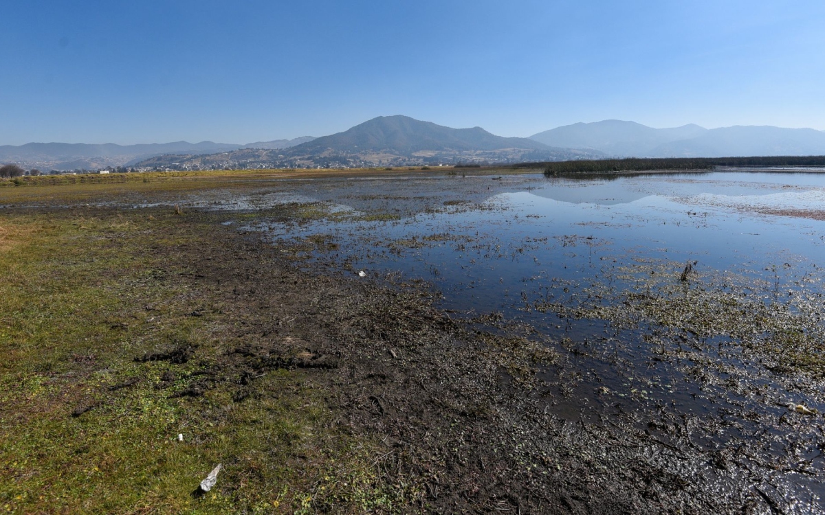 Consumo de agua en México en riesgo por sobreexplotación y