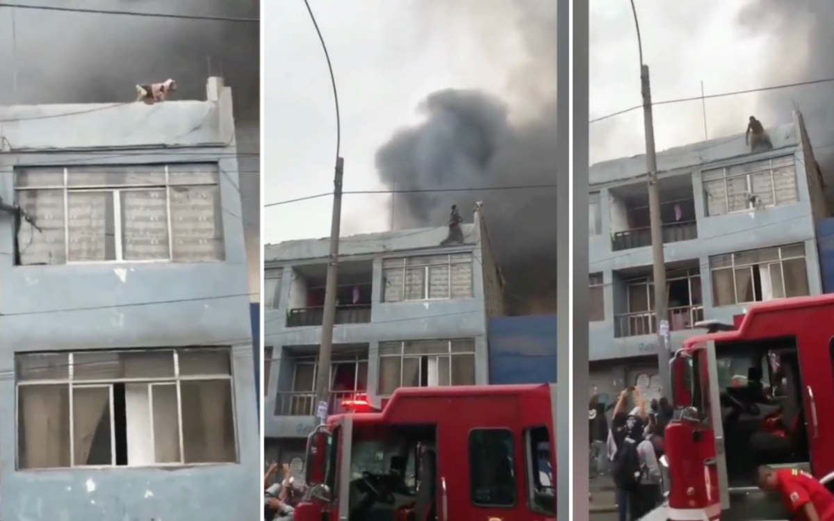 Video H Roe Sin Capa Hombre Salva A Perritos De Incendio En Per