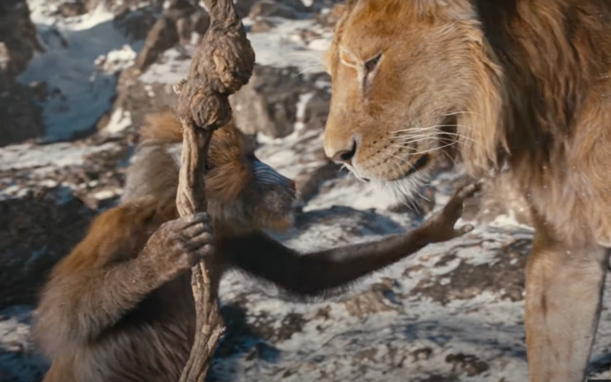 Mufasa The Lion King Llega A La Pantalla Grande Todo Lo Que Tienes