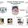 En la "lista negra" estadunidense los Guzmán aparecen junto con otros dos operadores del cártel de Sinaloa: Noel Salgueiro Nevarez y Ovidio Limón Sánchez, quienes se encuentran detenidos desde 2011 en México.