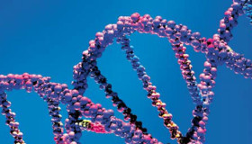 Crean 'ancIBD': descubre tu historia genética y conoce a tus antepasados