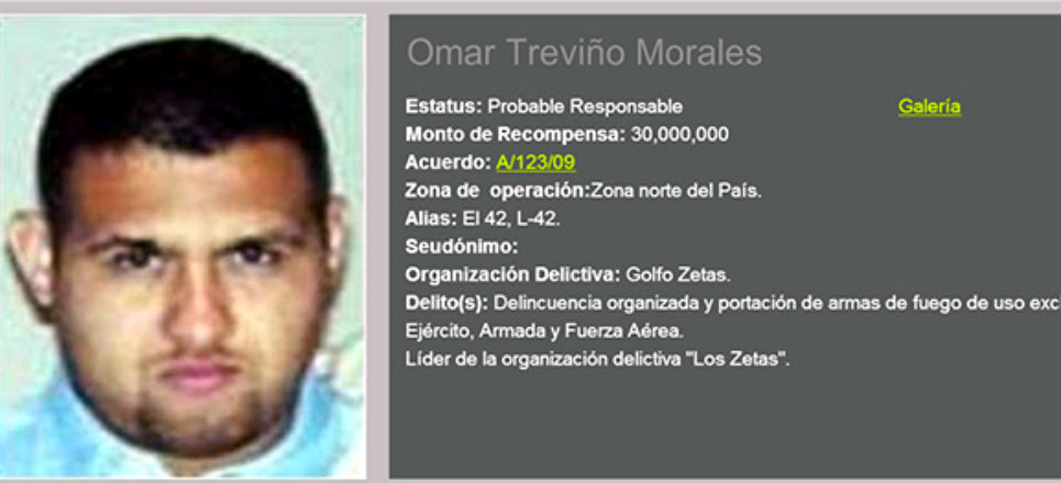 Captura del 'Z-42' trastoca a 'Zetas', pero continúa estructura ...