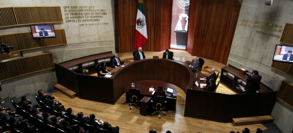 El Tribunal Electoral falla a favor del Partido Verde en el caso del crédito bancario El Tribunal Electoral falla a favor del Partido Verde en el caso del crédito bancario