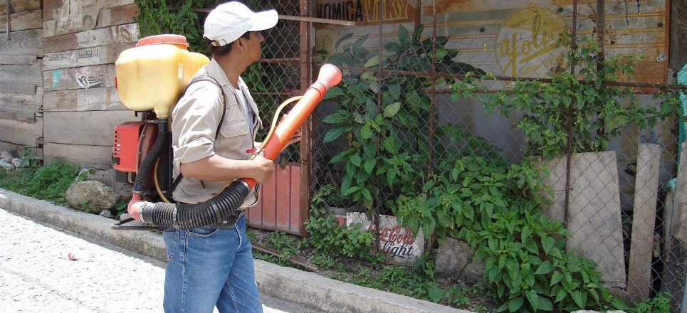 Virus del Zika podría extenderse a toda América Latina: OMS Virus del Zika podría extenderse a toda América Latina: OMS