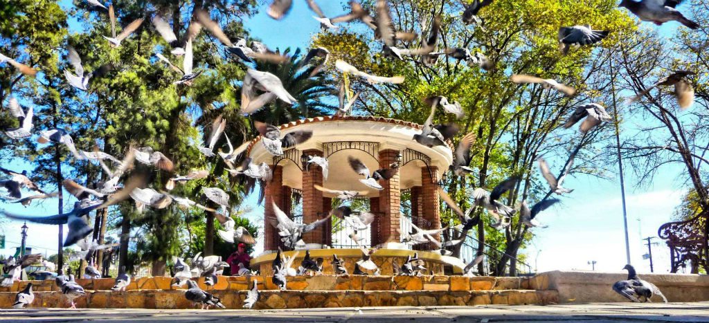 Ciudad Mier, Pueblo Mágico de Tamaulipas Ciudad Mier, Pueblo Mágico de Tamaulipas