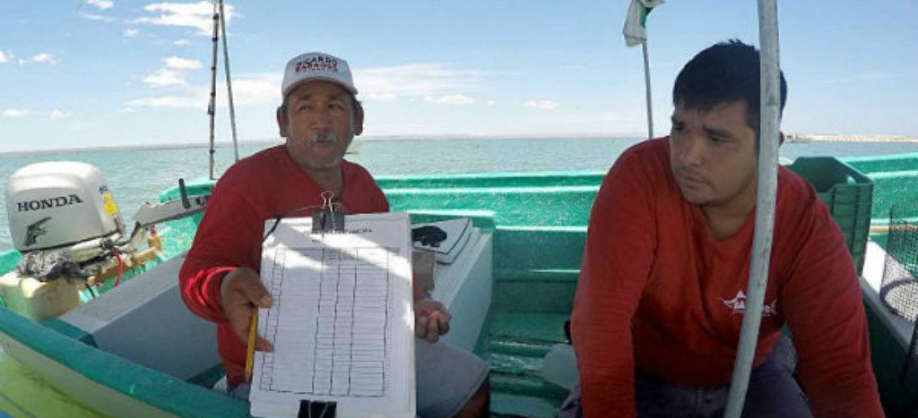“Queremos preservar el futuro de los mares”: Pescadores (Parte III) “Queremos preservar el futuro de los mares”: Pescadores (Parte III)