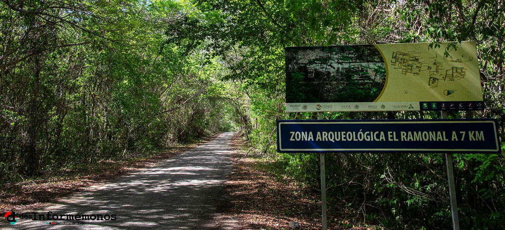Tren Maya: "me va a costar matar la vida y la paz de mi territorio y las costumbres de mi pueblo" Tren Maya: "me va a costar matar la vida y la paz de mi territorio y las costumbres de mi pueblo"