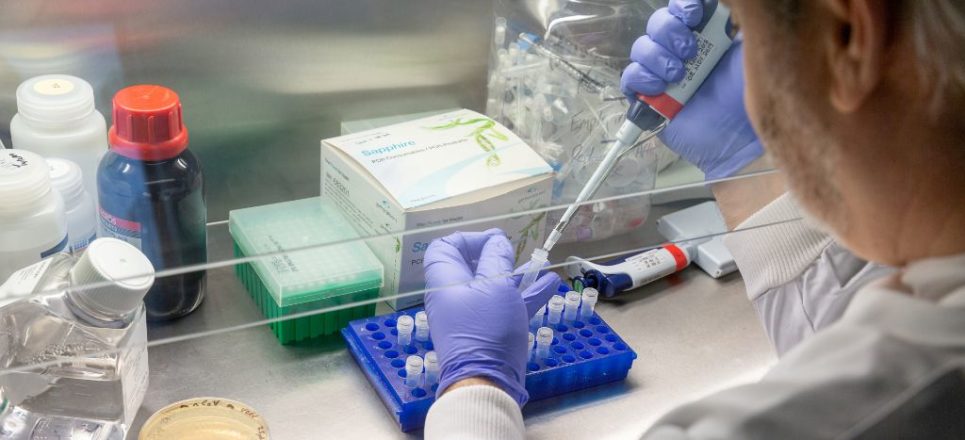 Identifican en China 35 contagios de henipavirus, un nuevo virus proveniente de murciélago Identifican en China 35 contagios de henipavirus, un nuevo virus proveniente de murciélago