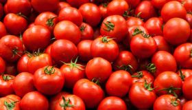 Florida celebra arancel a tomate por 'injustas prácticas comerciales mexicanas'