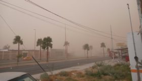 Tolvanera y no polvo del Sahara, lo que sorprendió a Torreón | Videos