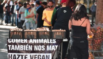 Activistas reparten comida vegana en el país; 'matar animales nos está matando', aseguran | Videos