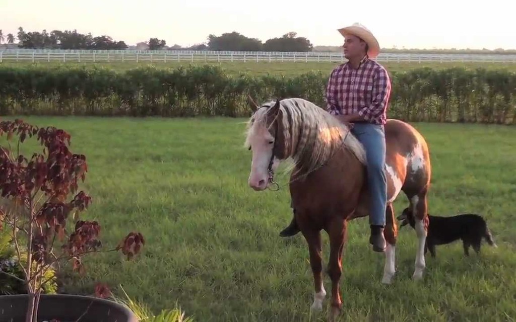 Se aplaza primer juicio oral a un exgobernador en México Se aplaza primer juicio oral a un exgobernador en México