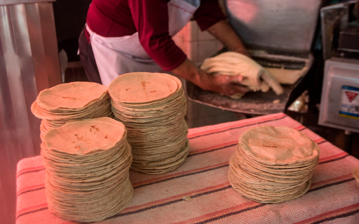 ¿La tortilla que consumes es 100 natural? Aristegui Noticias