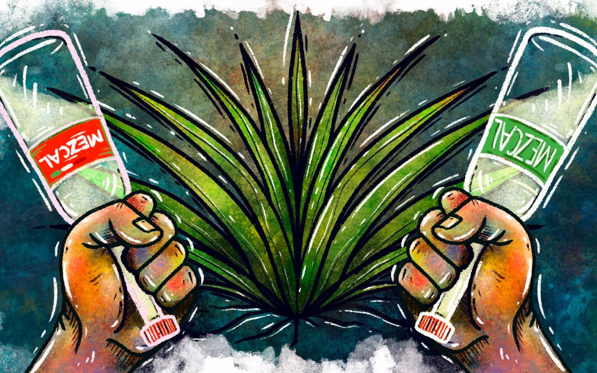 La guerra del mezcal | Aristegui Noticias