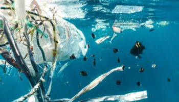 ¿Sabías que en el fondo del océano hay hasta 11 millones de toneladas de plástico?