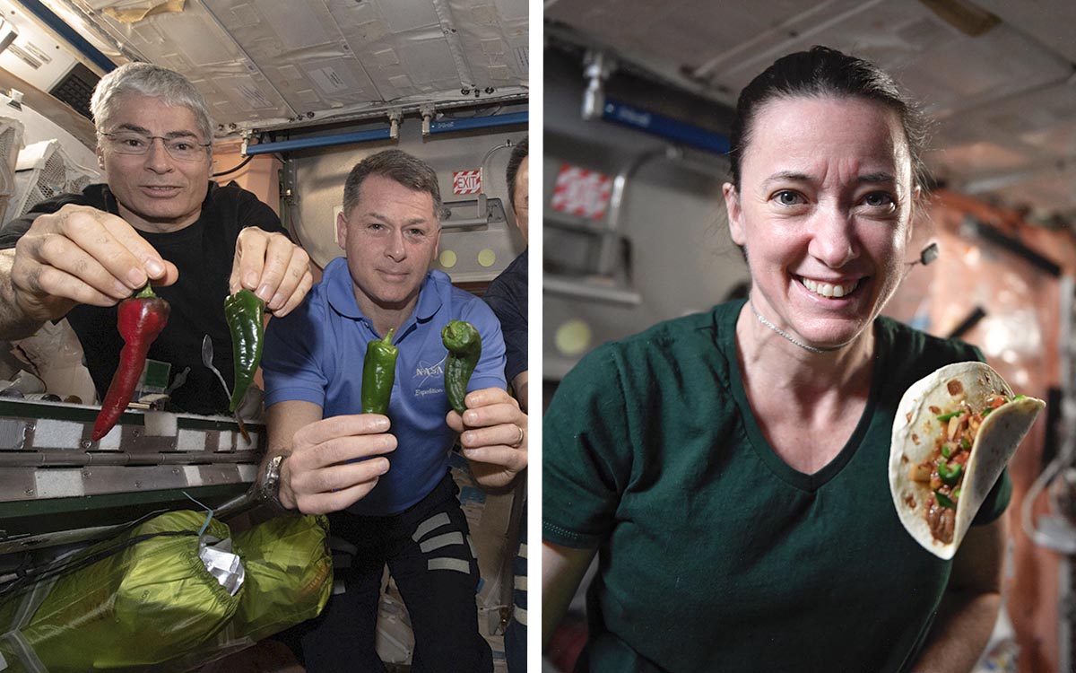 Astronautas cultivaron chiles en el espacio... y se prepararon 'de volada' unos tacos bien picosos