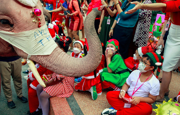 Vestidos de Santa y con mascarillas, elefantes celebran la Navidad en  Tailandia | Aristegui Noticias