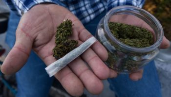 Alemania prevé legalizar cultivo doméstico y posesión de cannabis