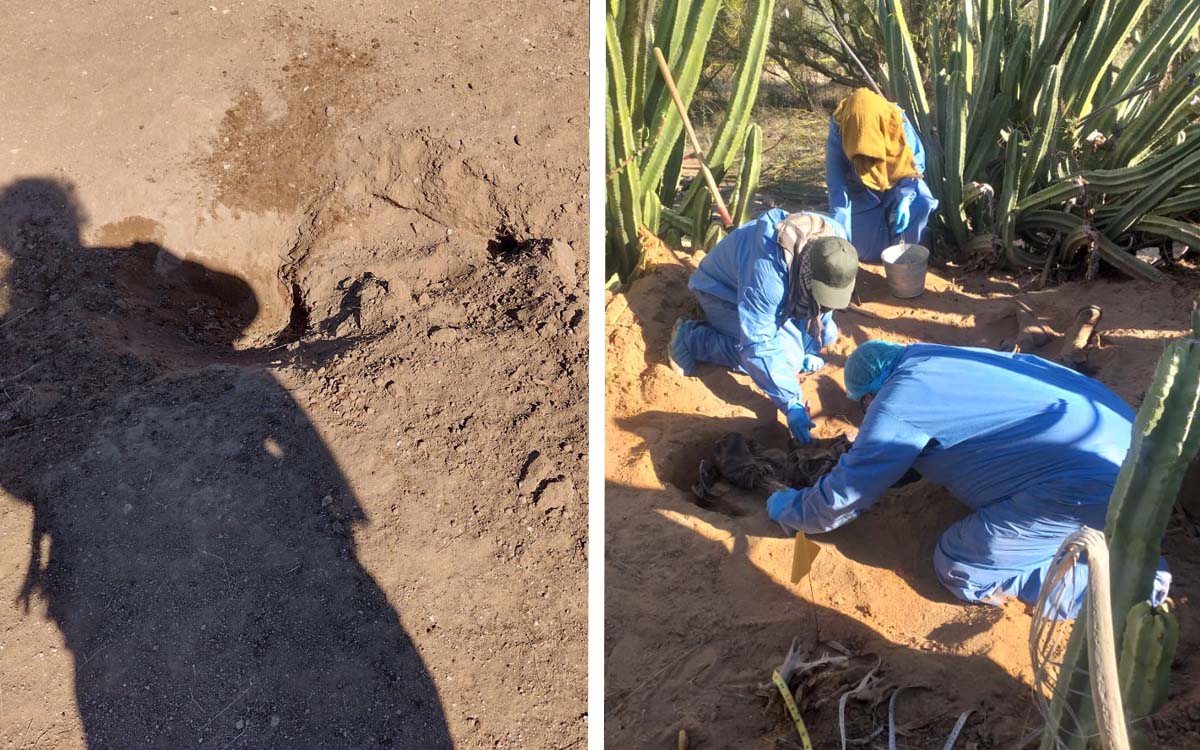 Madres Buscadoras De Sonora Encuentran Ocho Cuerpos En Cementerio ...