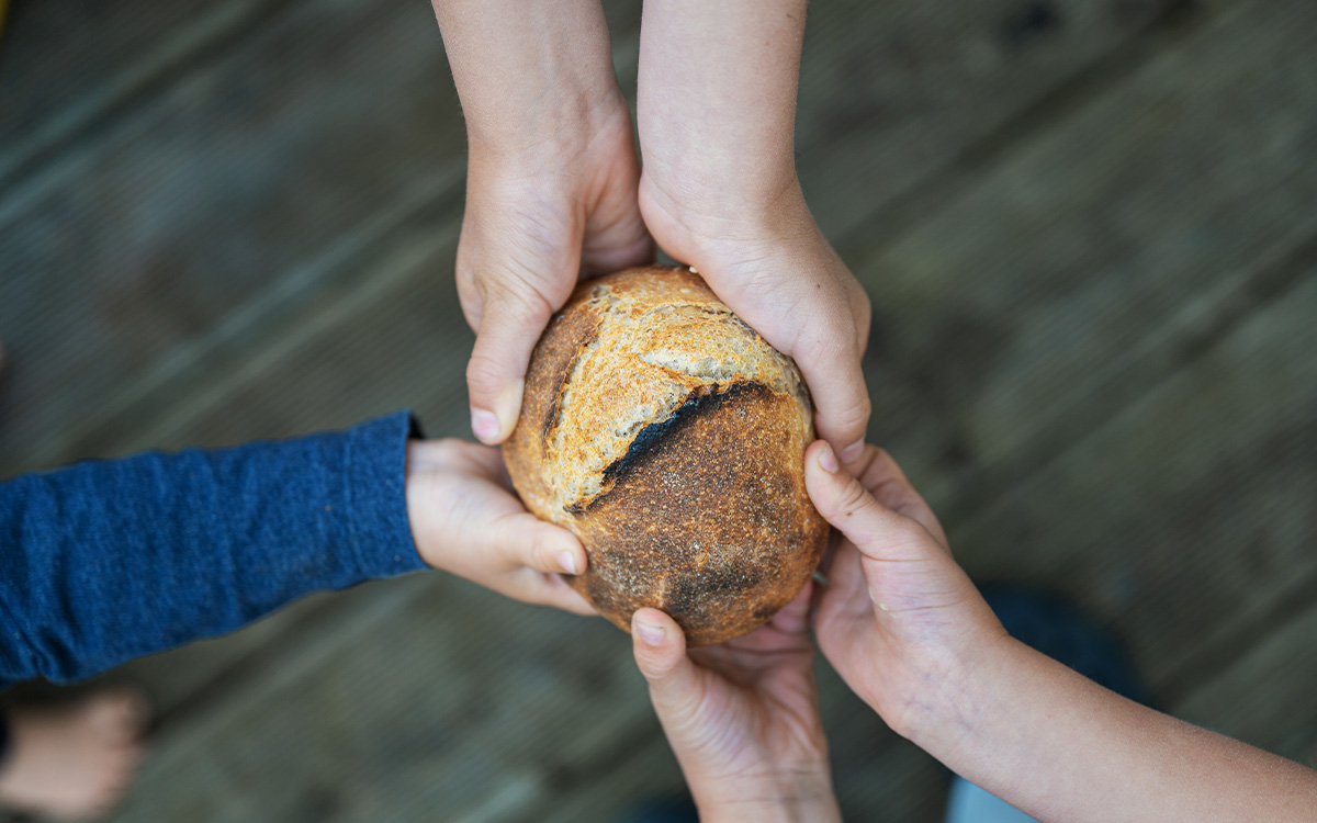 Día Mundial de la Alimentación se conmemora con situación 'crítica' de Haití, Gaza y Sudán del Sur Día Mundial de la Alimentación se conmemora con situación 'crítica' de Haití, Gaza y Sudán del Sur