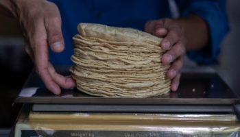 México no se saldrá del T-Mec; Profeco acusa a Maseca de aumentar precio de tortillas: Galván Ochoa | Video