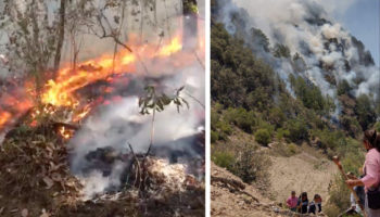 Fallecen cuatro comuneros mixtecos al intentar sofocar incendio forestal en Oaxaca
