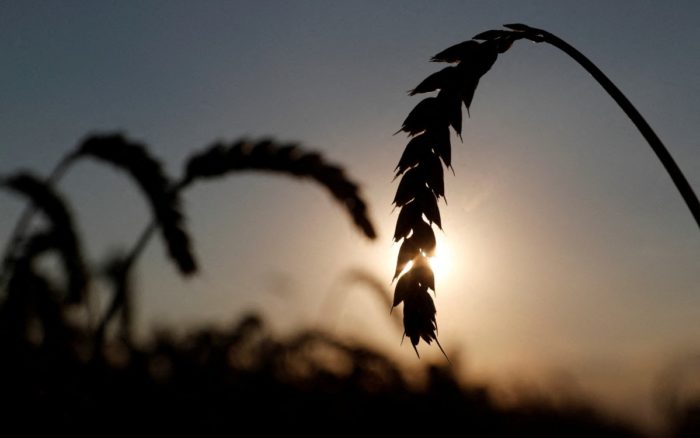 Foto: Reuters