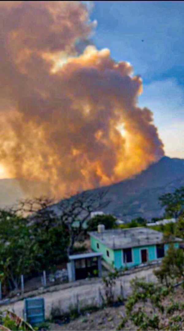 Reportan casi 8 mil hectáreas arrasadas por incendios forestales en Oaxaca  | Aristegui Noticias