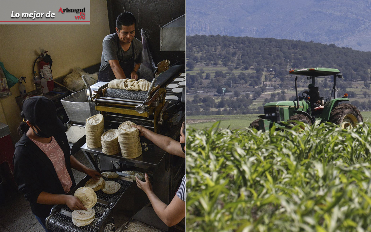 Lo mejor de Aristegui en Vivo: expertos analizan medidas anunciadas por el gobierno para contener la inflación | Video Lo mejor de Aristegui en Vivo: expertos analizan medidas anunciadas por el gobierno para contener la inflación | Video