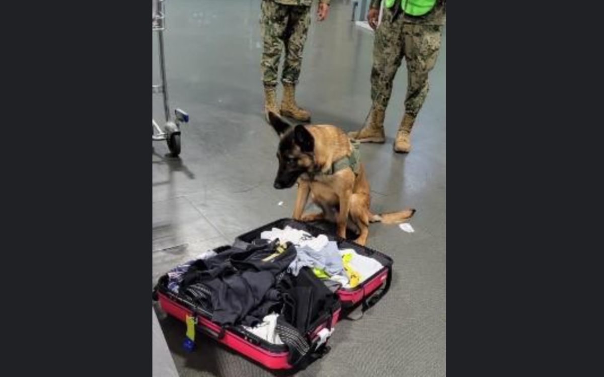 Decomisa Marina ropa impregnada con cocaína, nueva estrategia de cárteles Decomisa Marina ropa impregnada con cocaína, nueva estrategia de cárteles