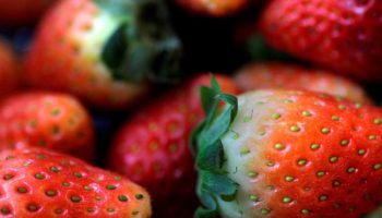 ¿Por qué las fresas tienen las semillas por fuera? #Niñonautas con Kirén Miret