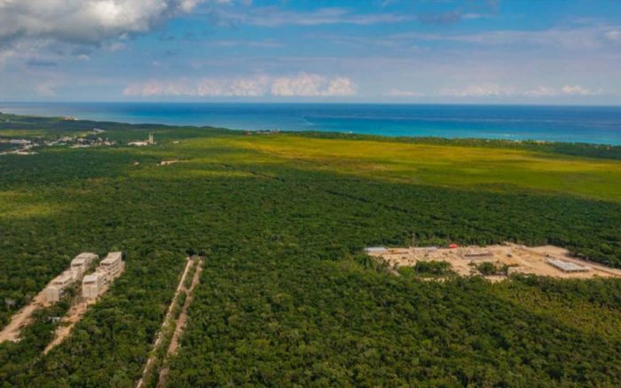 Declaran área Natural Protegida A La Región Jaguar En Tulum Quintana Roo Aristegui Noticias 8764