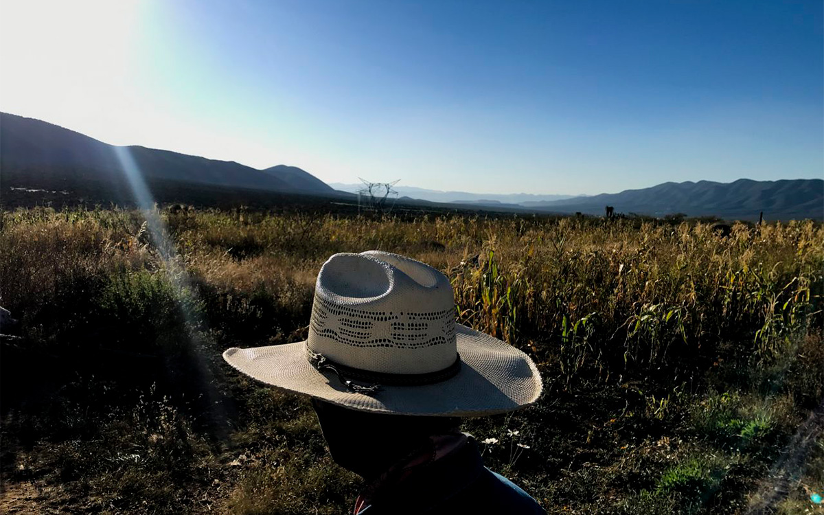 Las Plumas de la Serpiente: revalorar el trabajo de campesinas y campesinos de México | Video Las Plumas de la Serpiente: revalorar el trabajo de campesinas y campesinos de México | Video