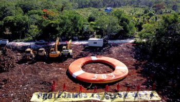 Protesta Greenpeace ante reinicio de obras del Tren Maya