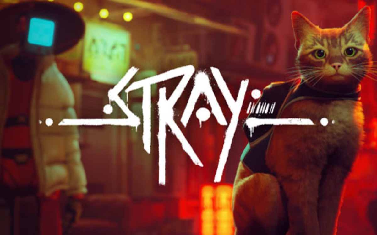 Conheça Murtaugh, o gato que inspirou o protagonista de Stray