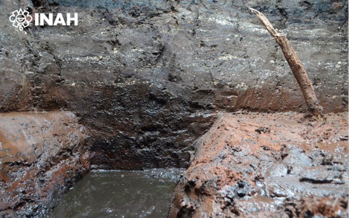 Descubre INAH antiguas chinampas en obras del trolebús en Chalco | Fotos