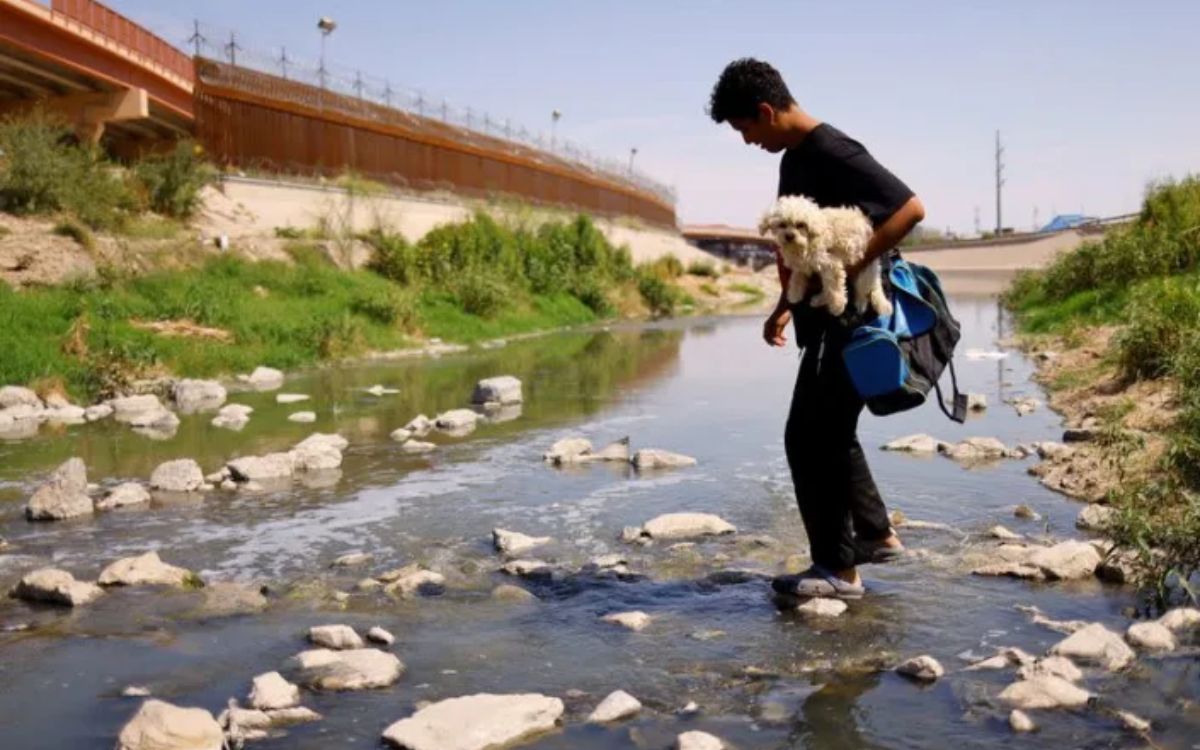 Tras arriesgado viaje, migrante y su perro se despiden en la frontera |  Aristegui Noticias