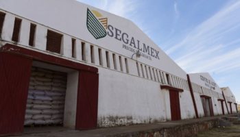 Tiene Segalmex irregularidades financieras por 13 mil mdp… y sólo dos denuncias | Video