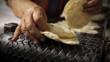Inflación anual se ubica en 8.76%; acuerdo con Maseca no es suficiente para precios de tortillas: Galván