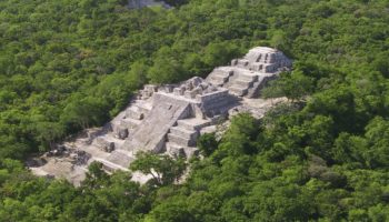 SEDENA construye sin permisos hoteles en la reserva de Calakmul: Sélvame del Tren | Entérate