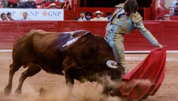 Regresan corridas de toros a CDMX por primera vez desde 2022