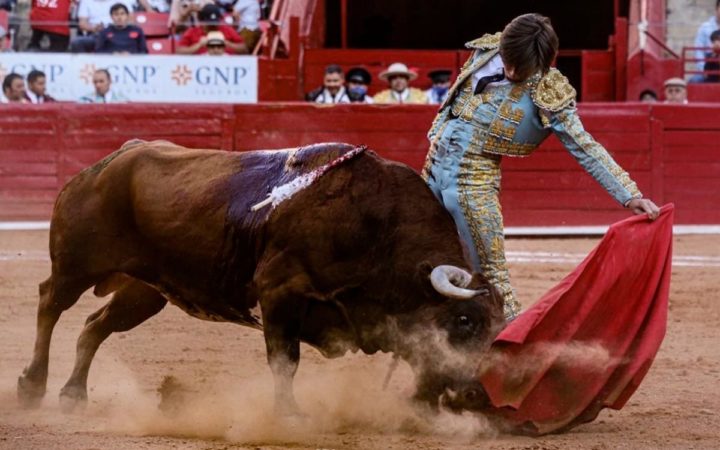 Regresan corridas de toros a CDMX por primera vez desde 2022