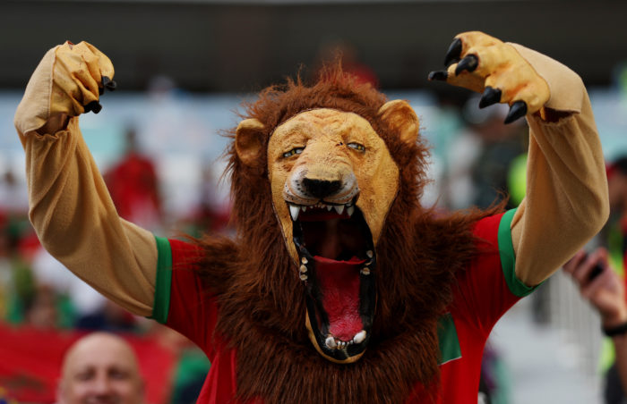 Qatar 2022: Devoran Leones del Atlas a Diablos Rojos en Al Thumama Stadium  | Fotogalería | Aristegui Noticias