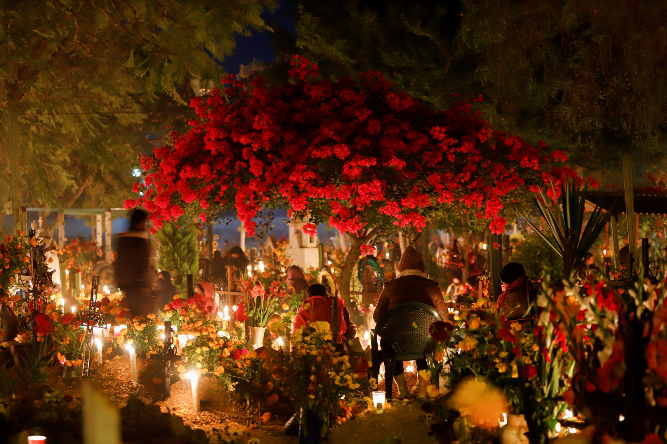 Día de Muertos: Flores, velas, comida, música... así se vive este 1 de  noviembre en los panteones del país | Fotos | Aristegui Noticias