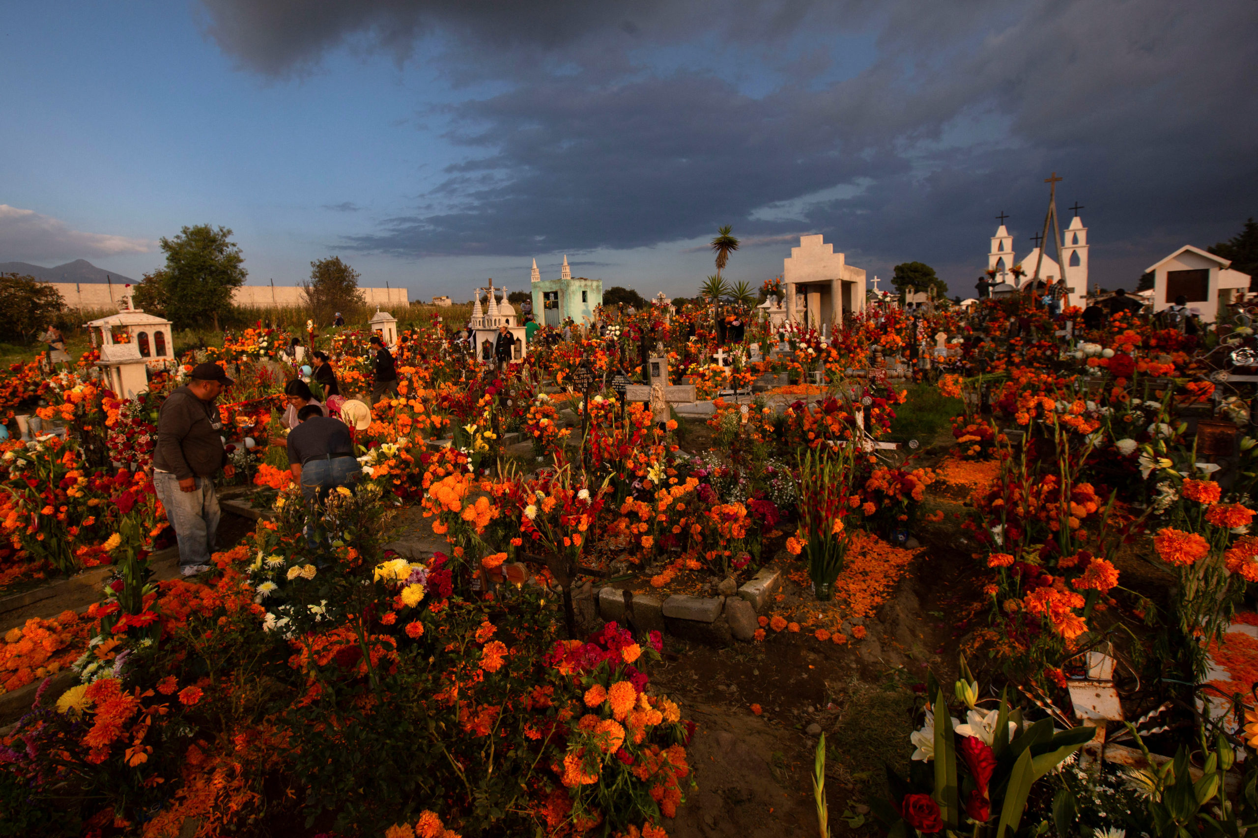 Día de Muertos: Flores, velas, comida, música... así se vive este 1 de  noviembre en los panteones del país | Fotos | Aristegui Noticias