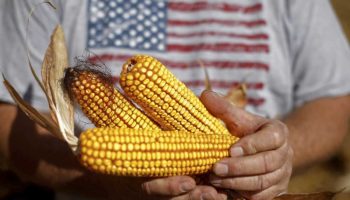 EU amaga con acudir al T-MEC por diferendo con México sobre maíz: 'Se acaba el tiempo'