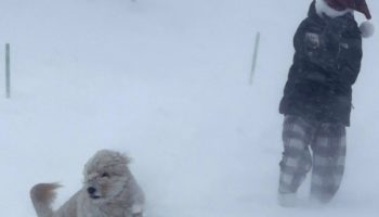 Zacatecas habilita 125 refugios ante la llegada de tormenta invernal y frío extremo