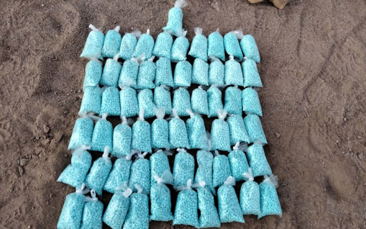 El fentanilo se usa en México para adulterar otras drogas en dosis que pueden causar la muerte: doctora en Farmacología El fentanilo se usa en México para adulterar otras drogas en dosis que pueden causar la muerte: doctora en Farmacología